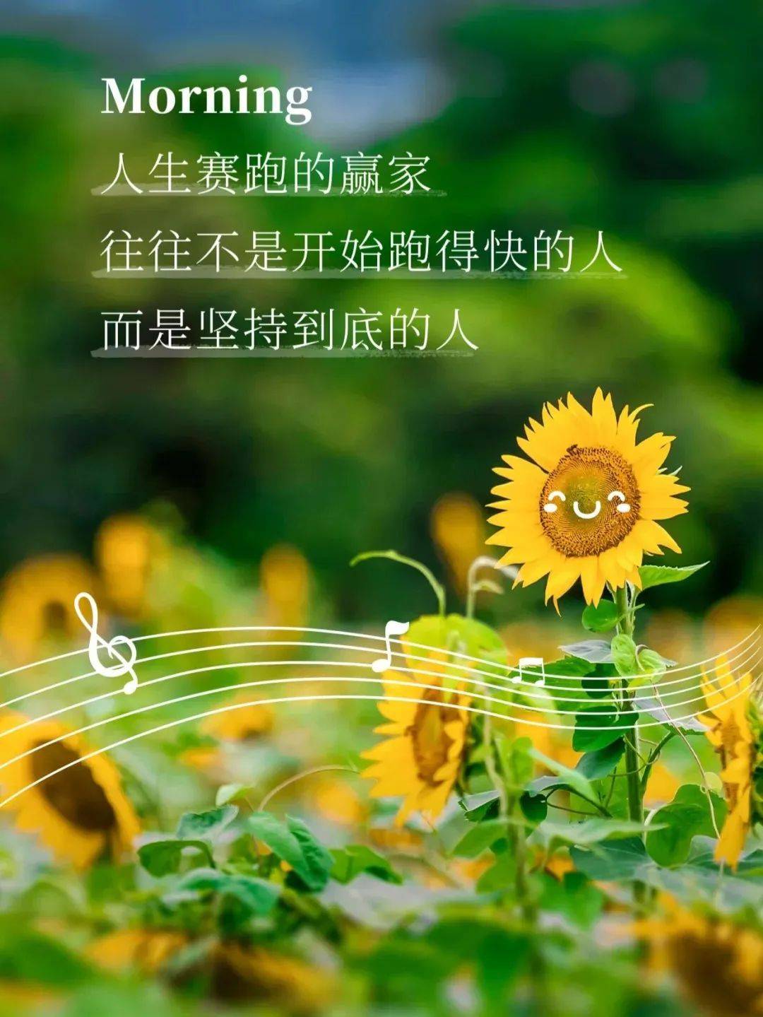早安语录正能量句子!新的一天,新的开始!去闯,去成长,去过想要的人生