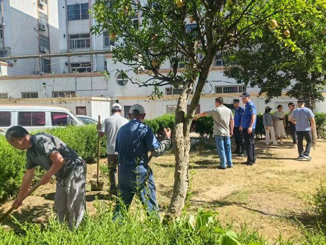青岛西海岸新区综合行政执法局珠海中队：以“党建红”赋能“执法蓝” 推动城市管理提质增效