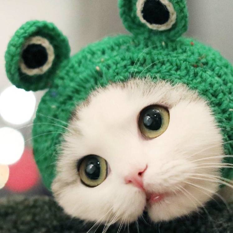 俄罗斯历史上第一位女强人,一生三大贡献,被东正教尊为圣人_奥丽加_基辅_伊戈尔
