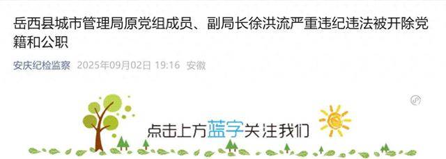 与他人串供，对抗组织审查！岳西县城市管理局原党组成员、副局长徐洪流被“双开”