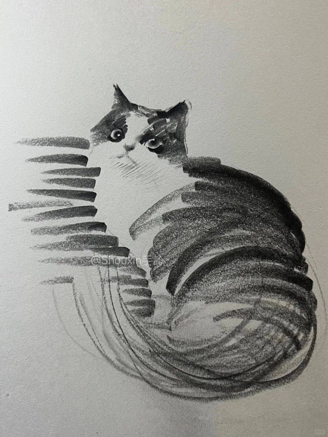 作品_速写_画作