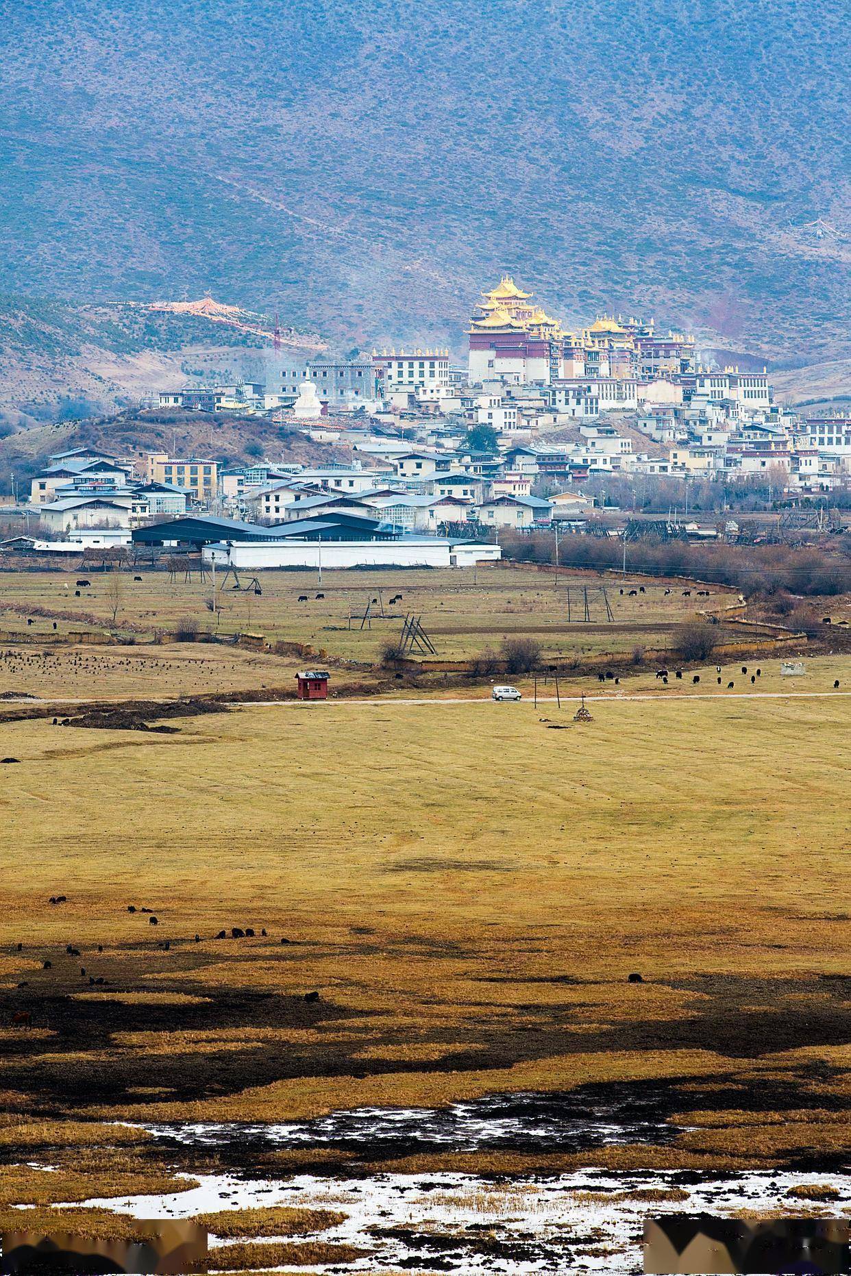 香格里拉介绍,高海拔藏地风光独好,多宗教和谐共存,历史底蕴深厚,是