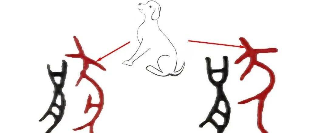 《说文解字》第998课:“讨厌”的“厌”字,为啥里面有只犬?_本义_字形_小篆