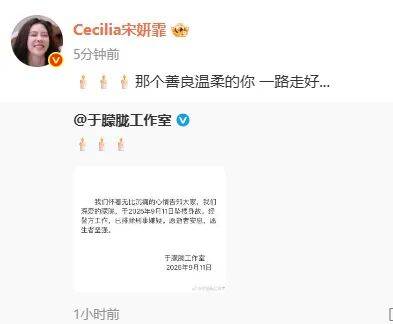 事关于朦胧坠亡，多平台出手！知名网红民警谈“排除刑事案件”…
