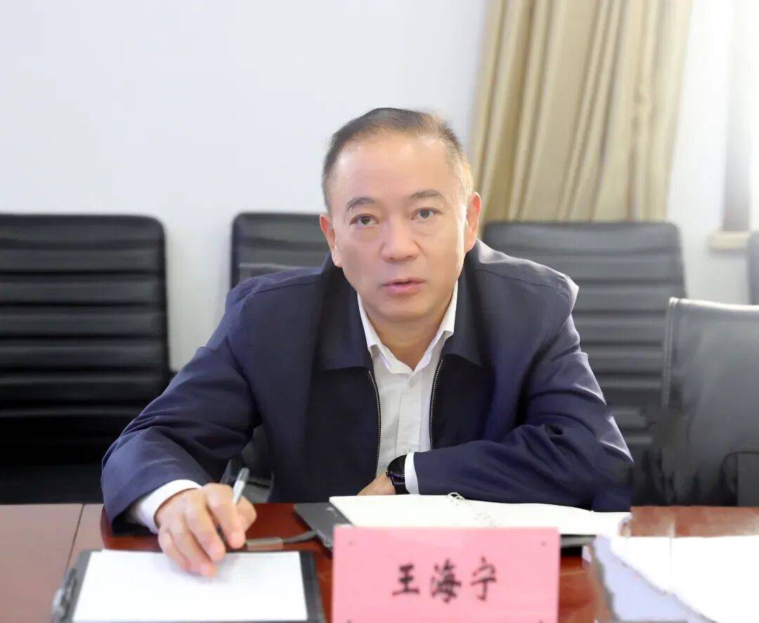 王海宁，被查