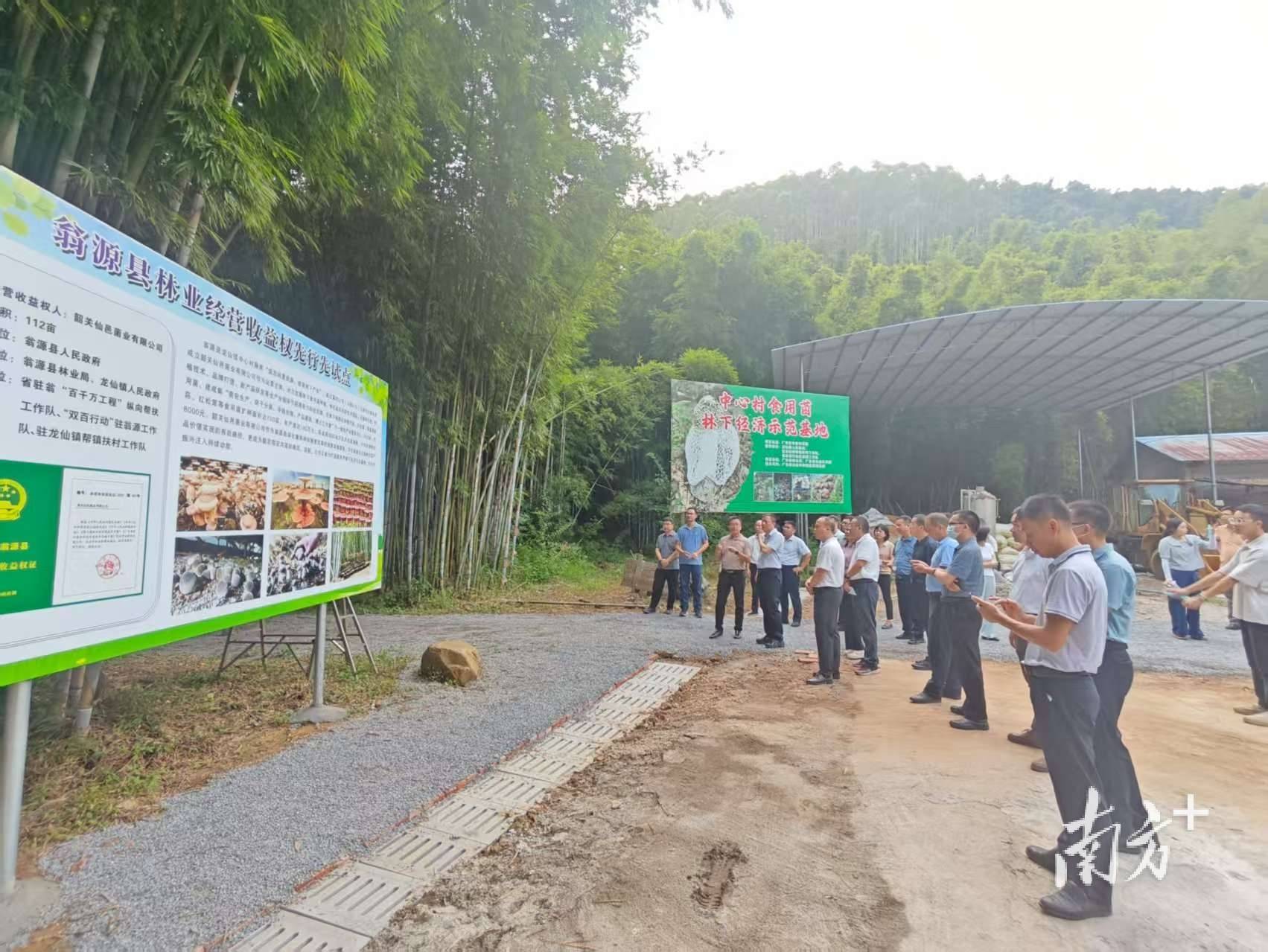 科企协同全链支撑这个粤北村庄林下食用菌产业