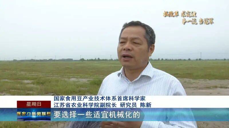 【抓改革 求突破 争一流 当冠军】科技赋能秋收 张家口食用豆全机械化收割按下“快进键”