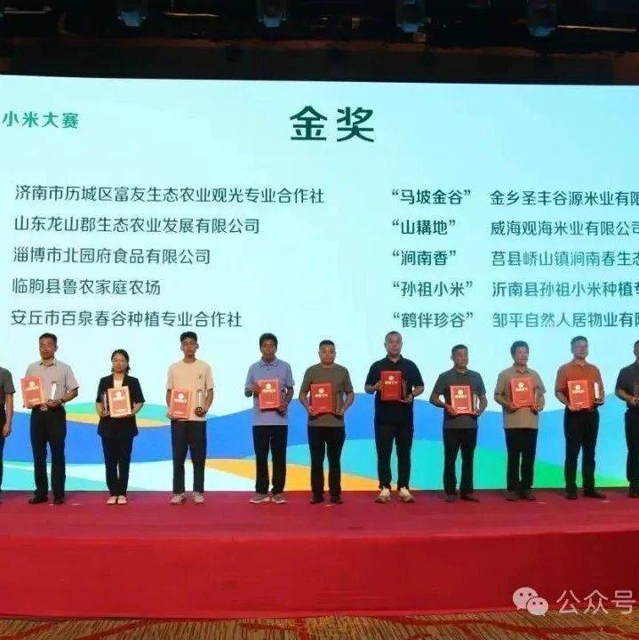 金乡“马坡金谷”荣获金奖!_马庙镇_种植_小米