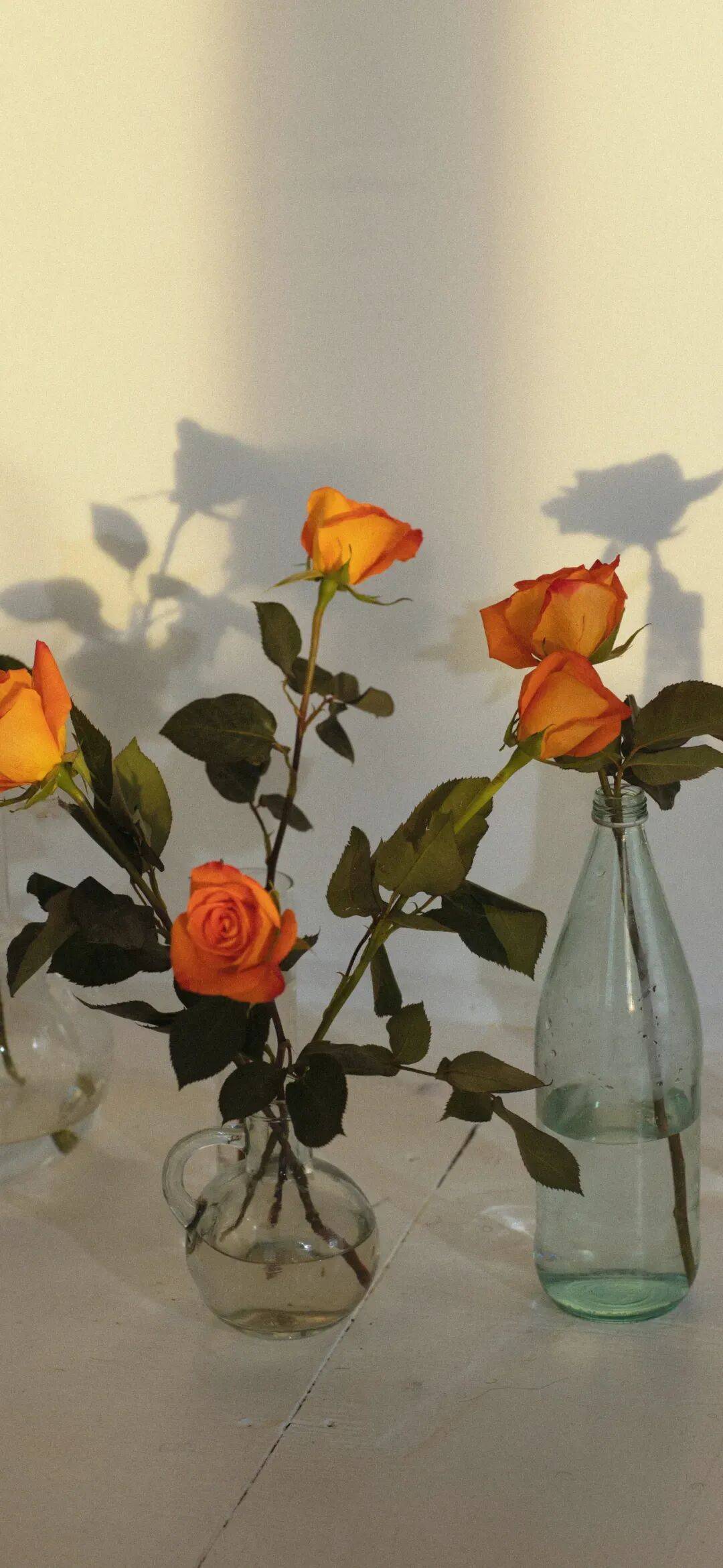 壁纸 | 高质感ins冷淡风高清壁纸