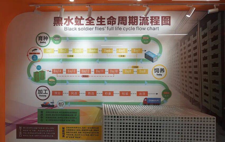 “分了，早分了”！98.5%的深圳人，熟知这件事！