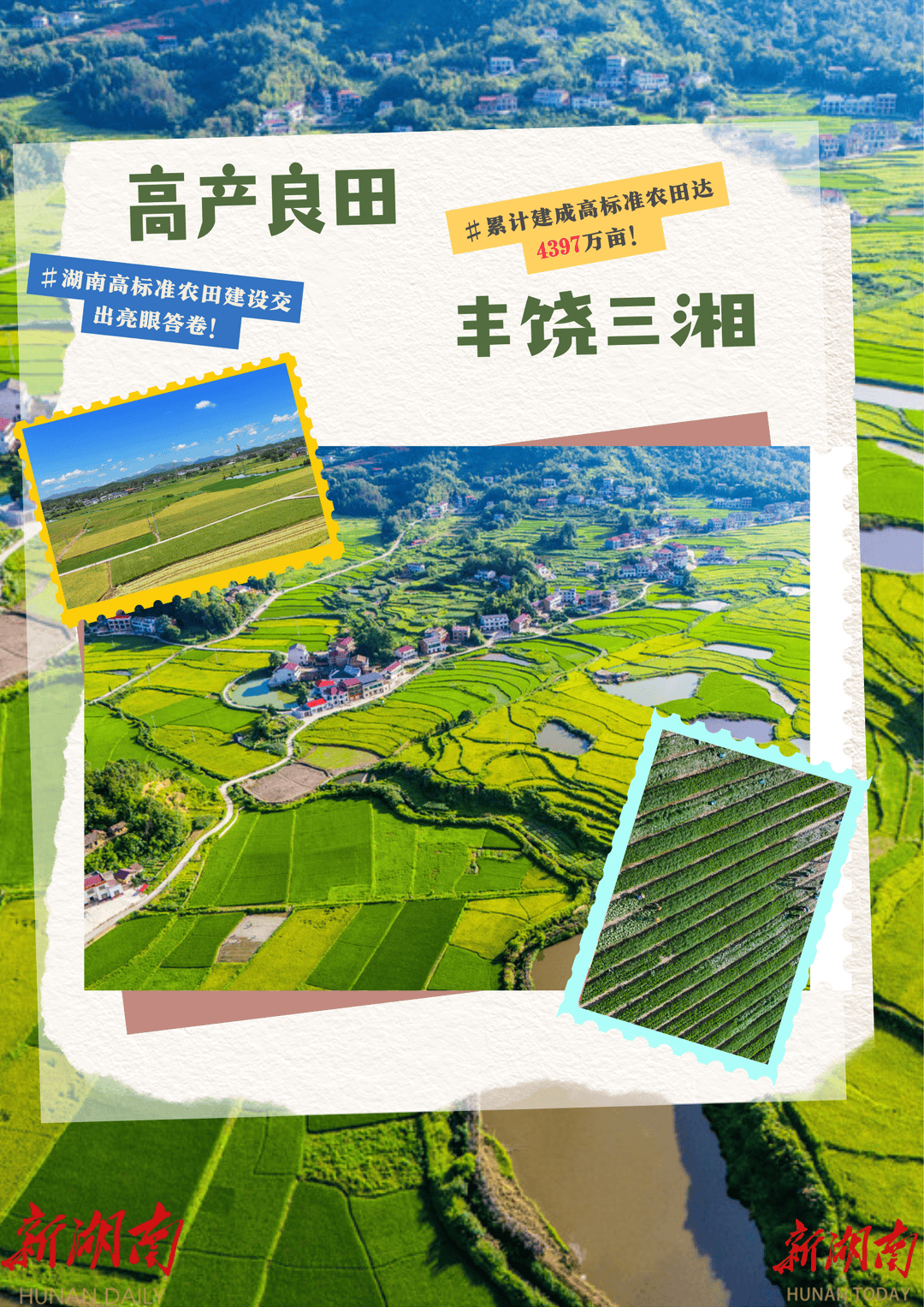 丰收啦！