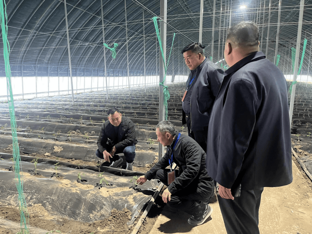 淮阴区古清口街道：履职为民促发展 红火产业促振兴