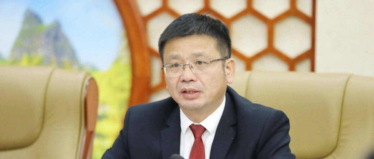 黄瑞吉,严重损害党的形象、都安的形象_河池市_调查_违纪