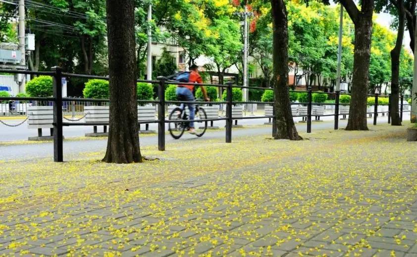 上海天气大反转！雨水+冷空气来袭，气温将骤降...“差不多行了，再热就不礼貌了”