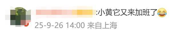 上海确认：直冲35℃！高温预警已发布，小黄又来加班