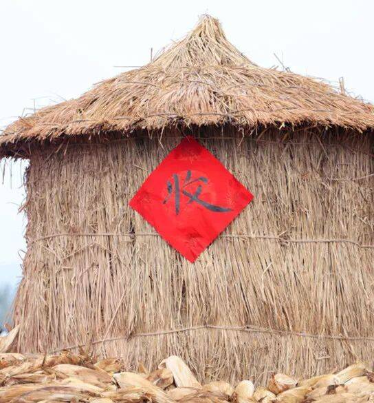 丰收礼赞，沃野盈仓！昌平区2025年中国农民丰收节暨第二届大地艺术节启幕