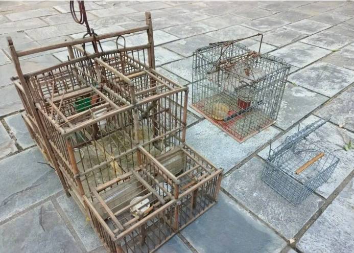 北京警方：见到这种笼子，立即举报