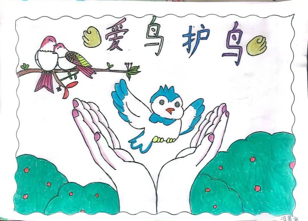 五彩画面里,有"森林与鸟共生"的美好图景,有"保护鸟类,守护家园"的