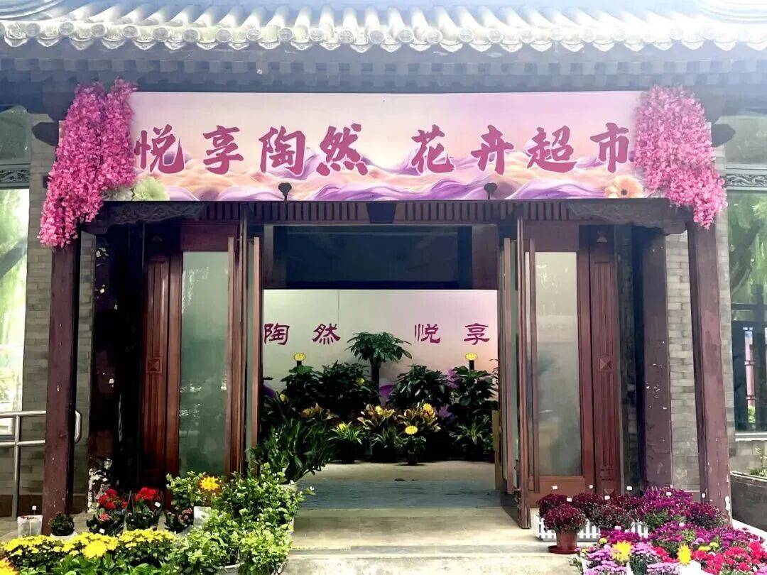 西城官宣！陶然亭公园菊花文化节来了