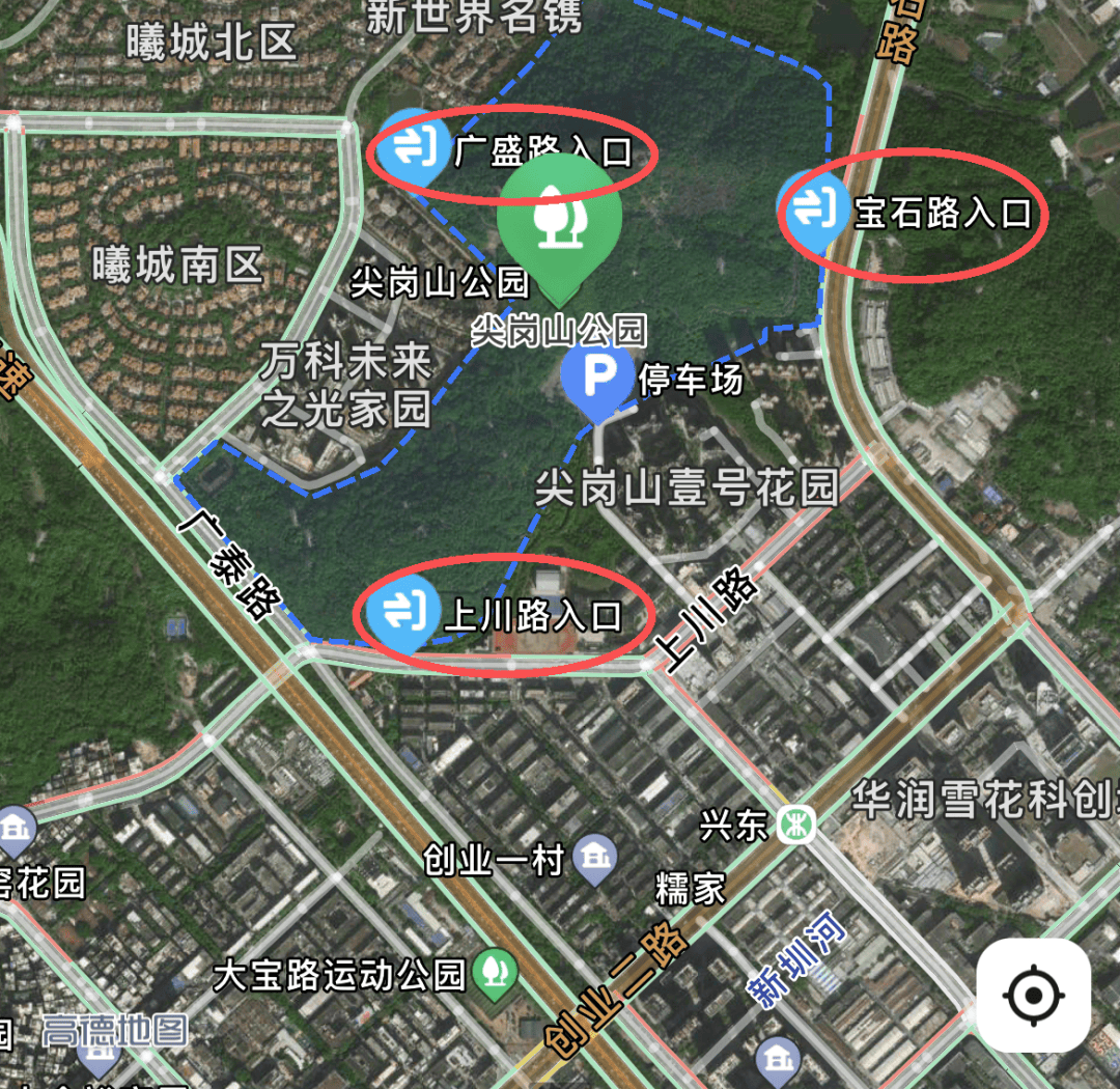 整改一年后，深圳这条路再被吐槽“怕成停车场”！多部门回应
