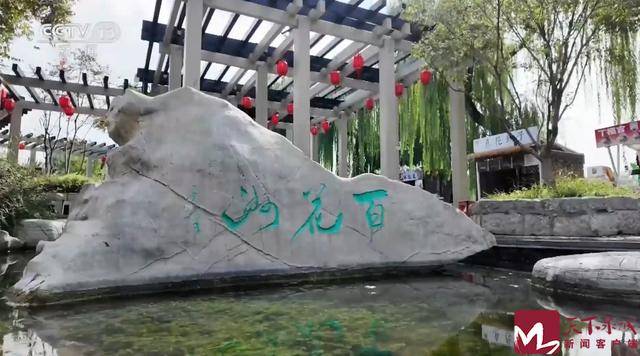 央视 | 山东济南：一城山色半城湖 千泉声动百花洲