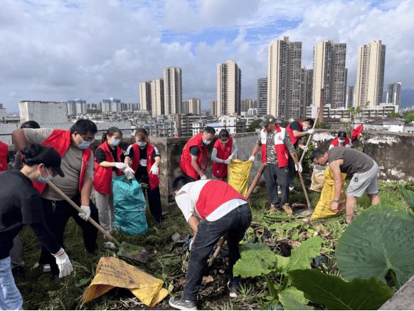 江门各级人大代表织密群防群控保护网 让人民群众真切感受到“代表就在身边”的温暖与力量