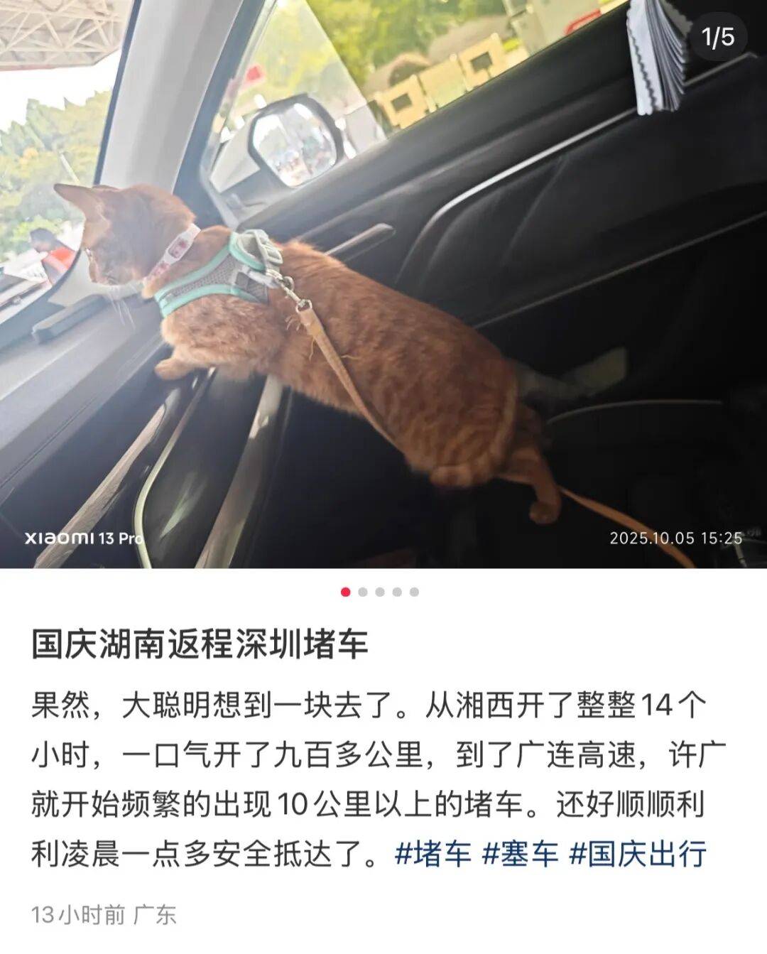 暴击！一路飘红！大批返深车主堵在路上！网友：都不在家里过中秋节吗