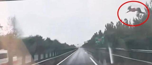 高速公路突发：SUV疑打滑失控撞护栏翻滚，女子被甩到空中