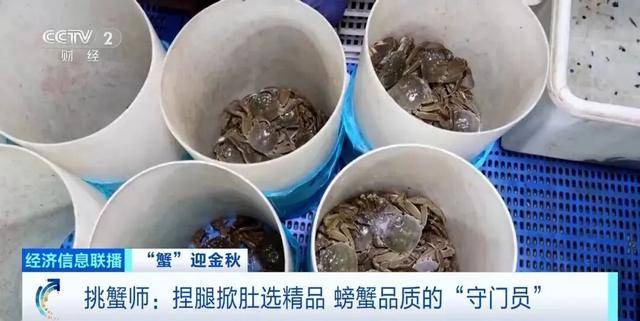 平均月入2万元！这个岗位近期缺人