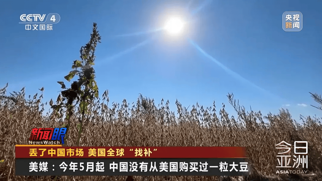 “中国一粒都没买”！大豆滞销，美国农民卖设备维持生计，“对特朗普的忠诚将接受考验”！特朗普满世界找买家，美协会急了：赶紧和中国谈
