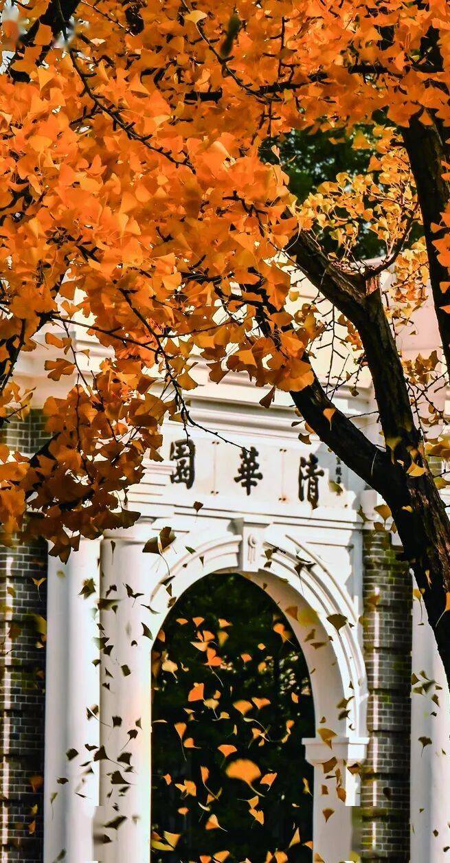 校友们的秋日镜头是懂"氛围感"的,这组清华园壁纸拿捏了!