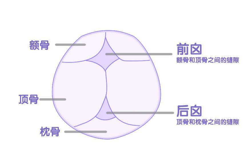 宝宝囟门这个时候还没有闭合,真就要注意了