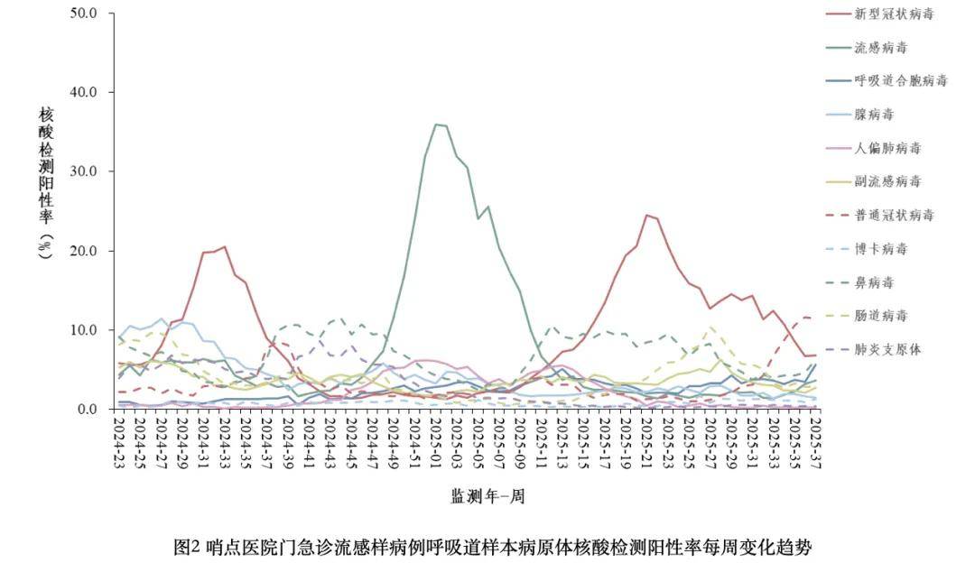  最近病毒高发期是哪个病毒2025年(2020现在什么病毒高发期)