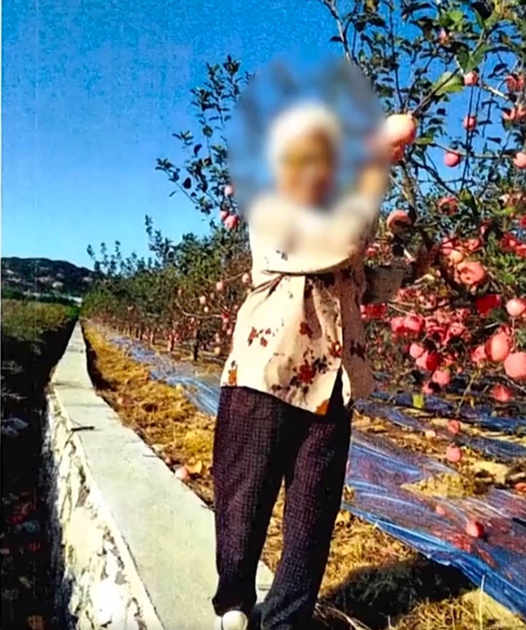 上海九旬老太称与家人不睦，将房产存款全部留给“干儿子”！死后骨灰却被撒荒山