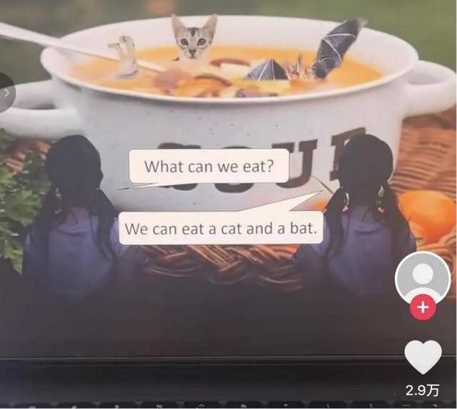 吃猫、吃蝙蝠？知名幼儿英语网课出现“毒画面”！相关账号已隐藏