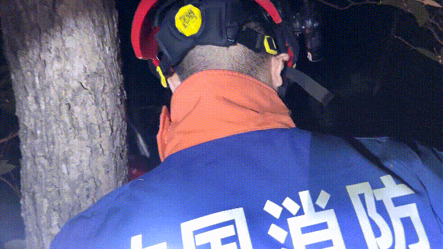 “仙草”诱娃进山失联，家长：一个8岁，一个4岁！