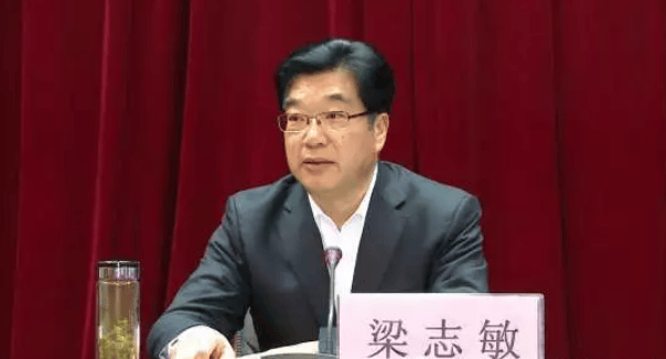 梁志敏，严重违纪违法