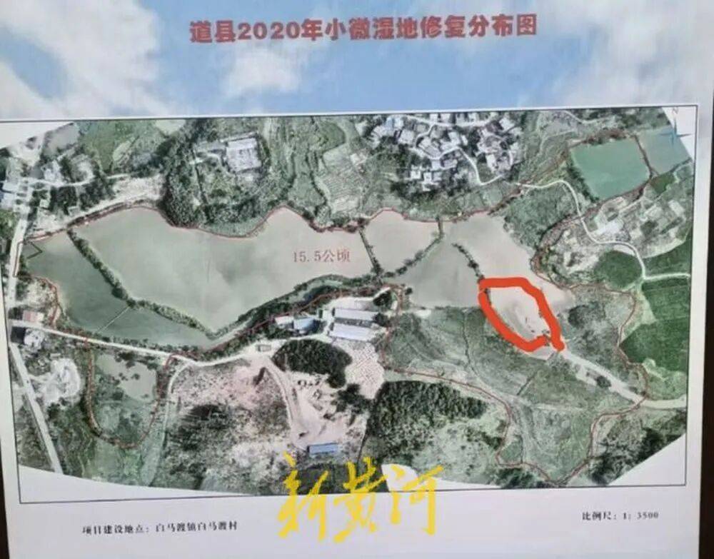 湖南65岁农妇挖11.98亩鱼塘养鱼，被控非法占用农地罪羁押超10个月，二审免于刑事处罚，当事人：坚持无罪申诉