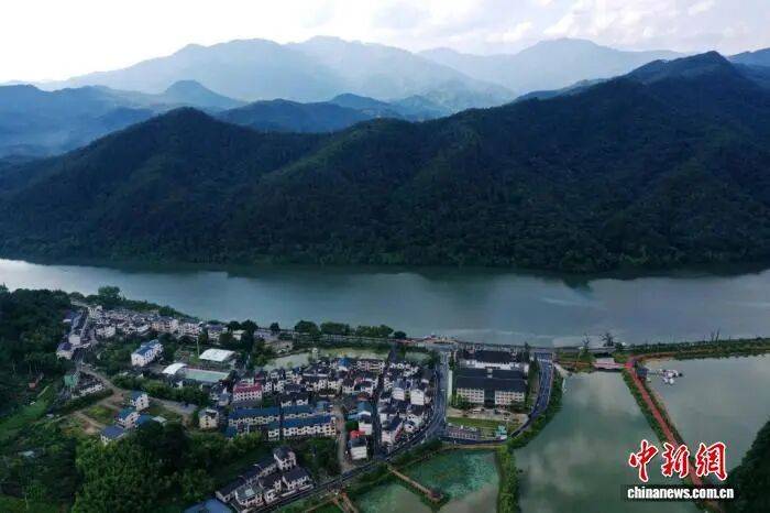 深化林改 | 福建三明：“四库”联动 点“绿”成“金”