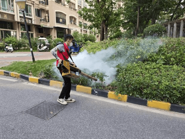党建引领聚合力！坦洲青年突击队深入一线精准“追击”灭蚊