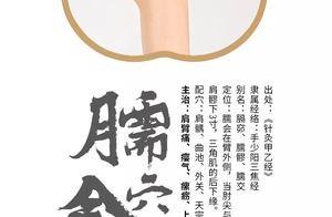 臑会穴:上臂散瘀结、通肩臂的关键穴!搞定肩痛牵臂与上臂瘀堵_牵连_经络_气血
