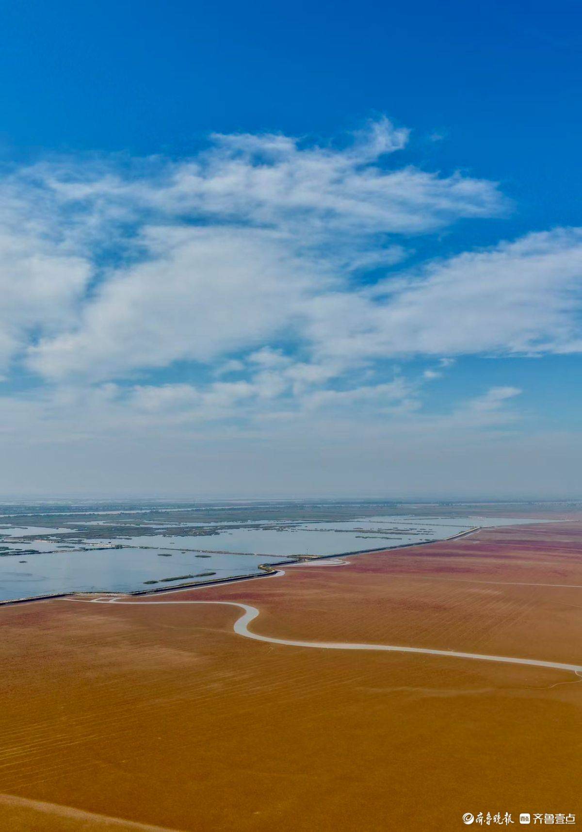 黄河三角洲的红滩湿地