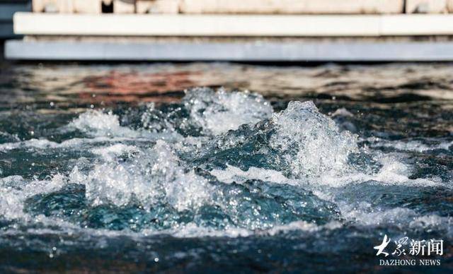 水位创新高的趵突泉、黑虎泉，竟有46000年“泉龄”？专家回应