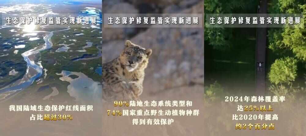六个“新”字看成绩｜生态文明建设实现新进步