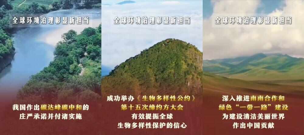 六个“新”字看成绩｜生态文明建设实现新进步