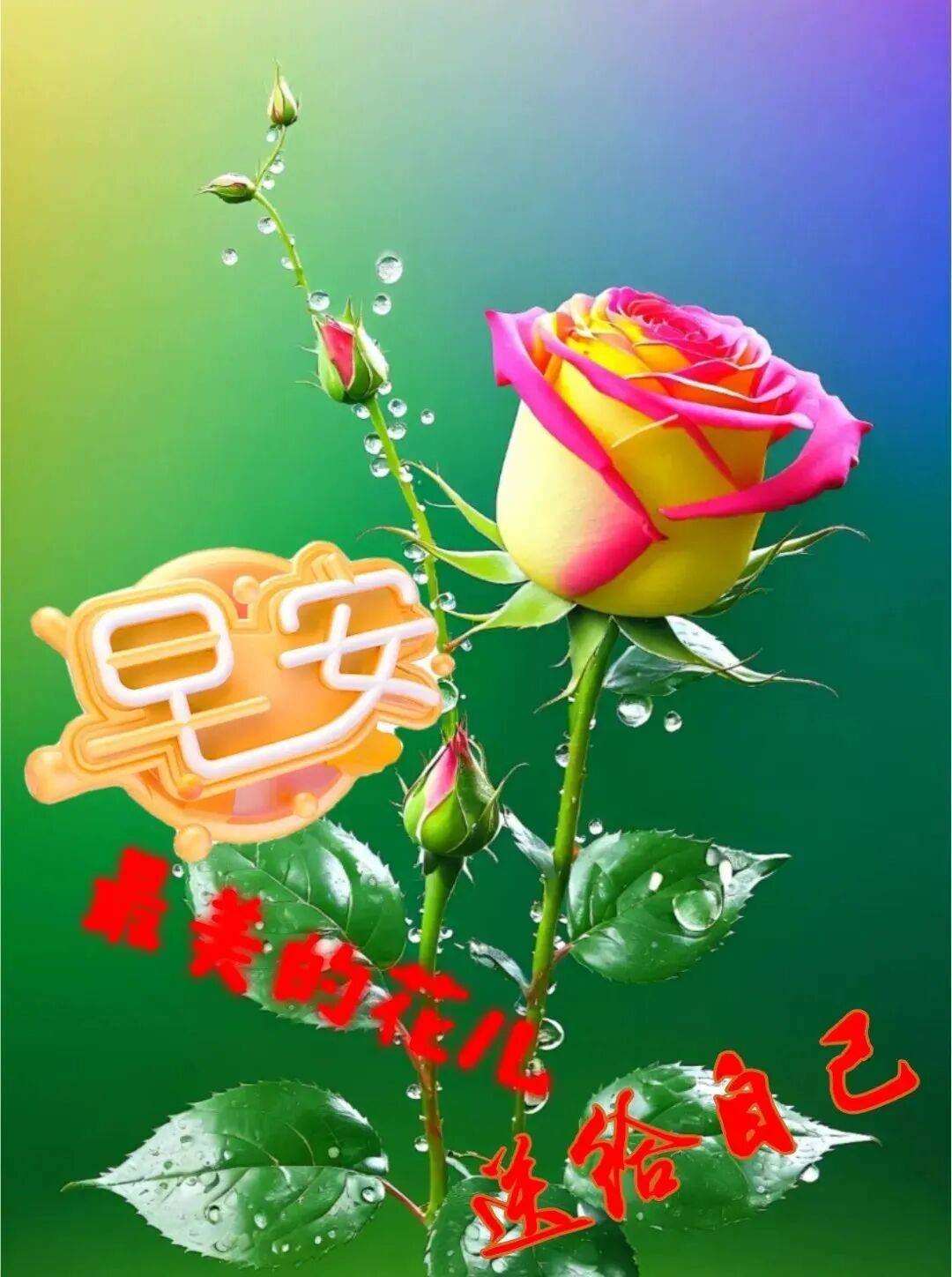 问候早安的句子_纯朴友情真挚问候_清晨祝福温暖关怀