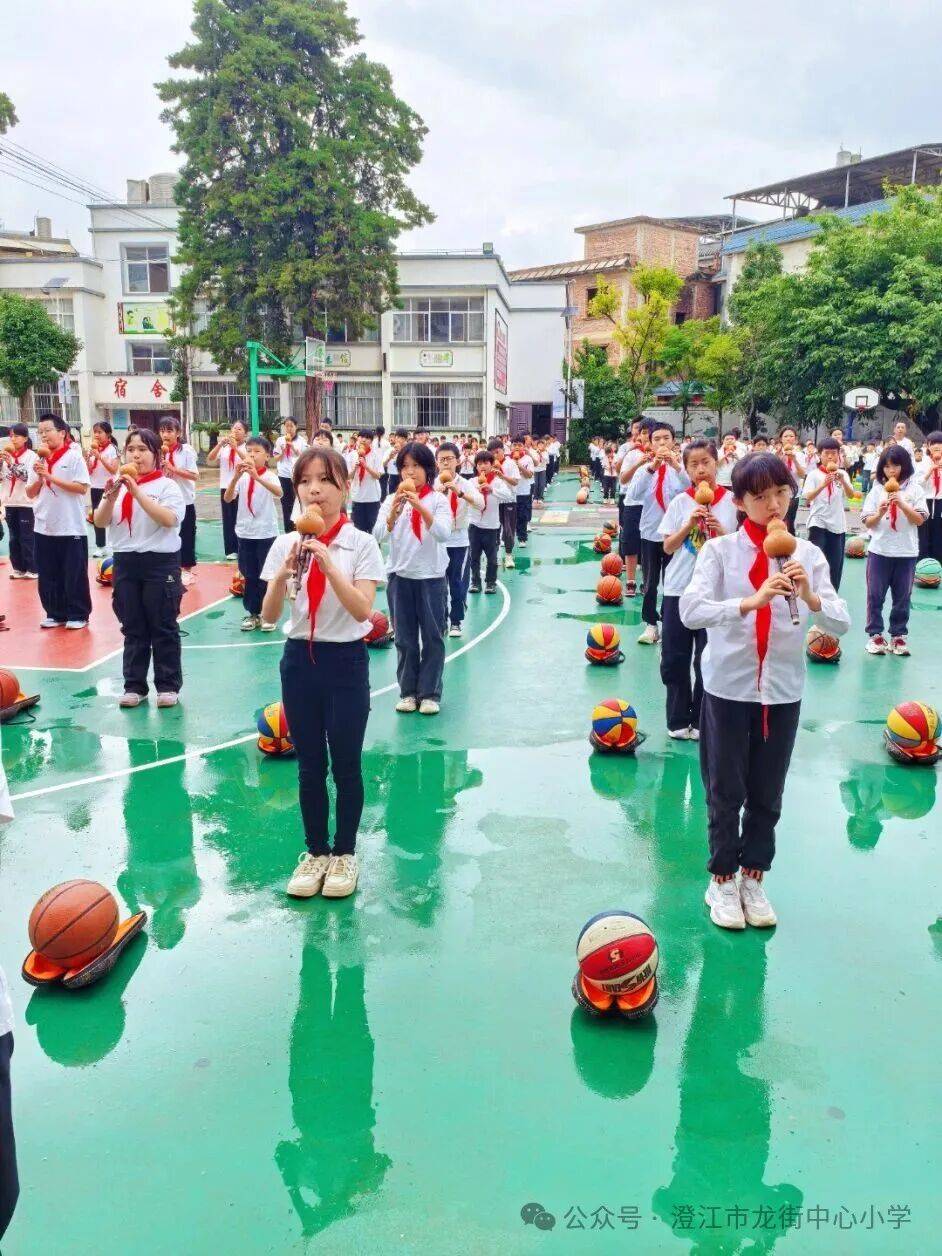 壮苗行动乐成长,以体育人享健康