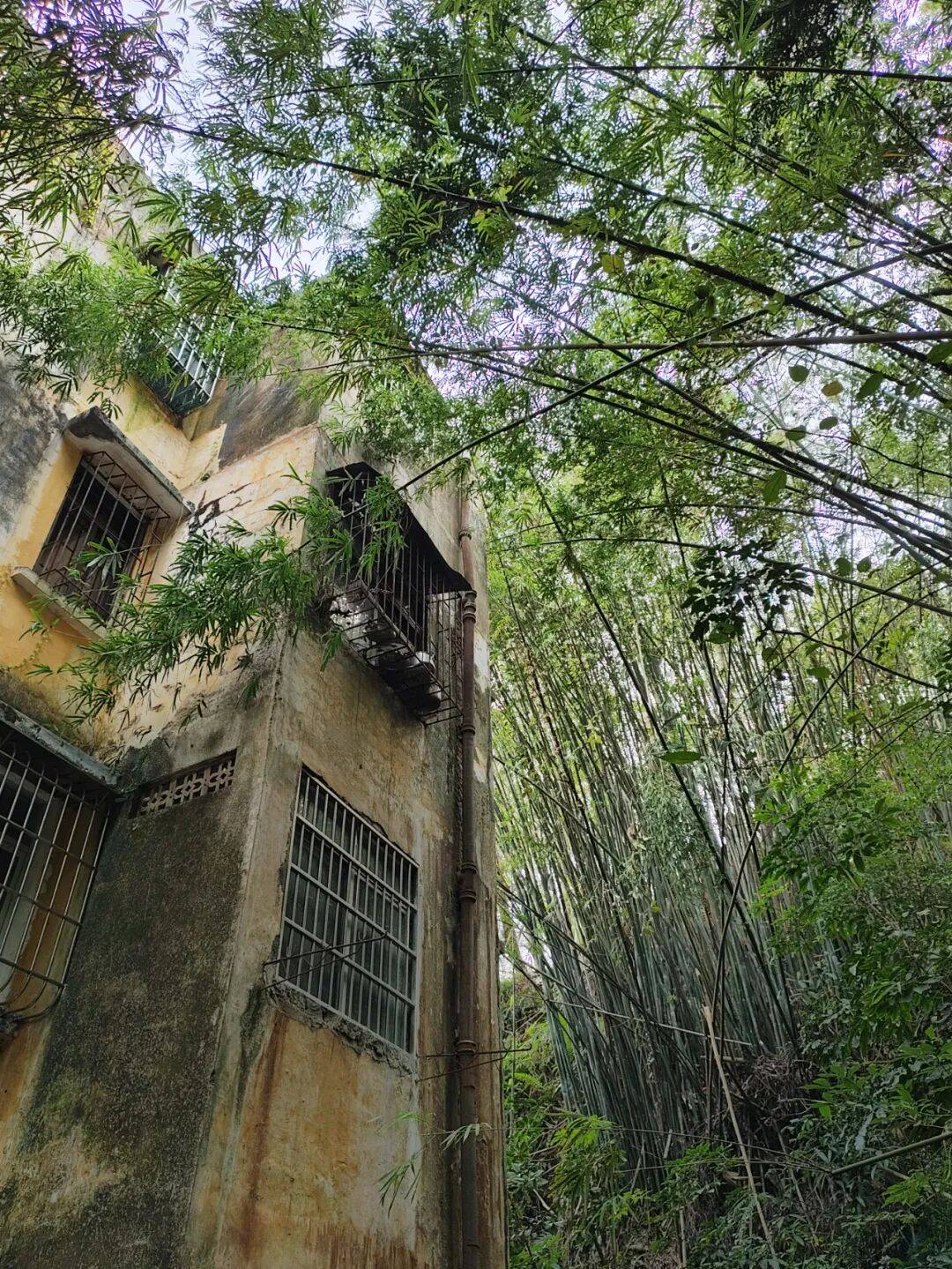 强净出击台山全域开展爱国卫生大行动