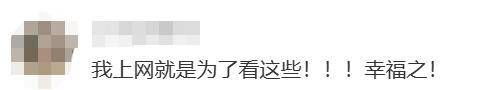 上海女生国外丢失手机，找回后发现多了两段视频，网友：结局意想不到……