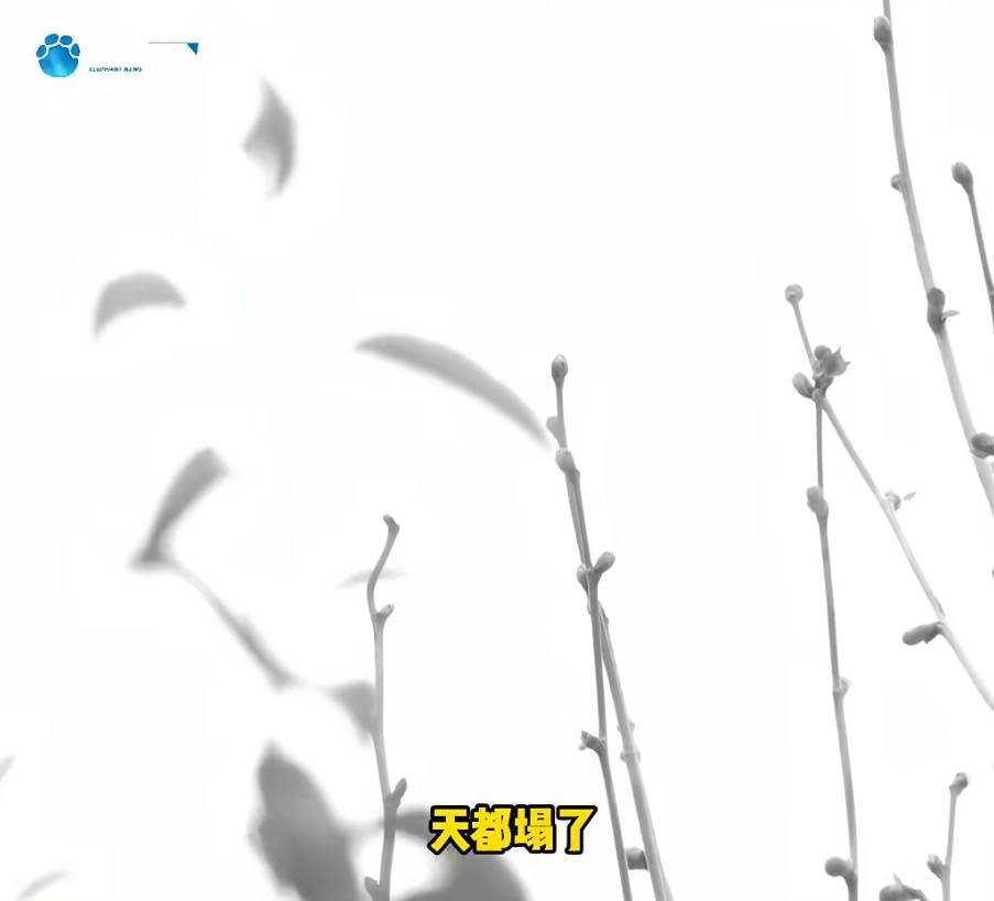 “天塌了,我一生都毁了”,男子称养了20年才发现儿子非亲生!前妻坚决否认 “天塌了,我一生都毁了”,男子称养了20年才发现儿子非亲生!前妻坚决否认